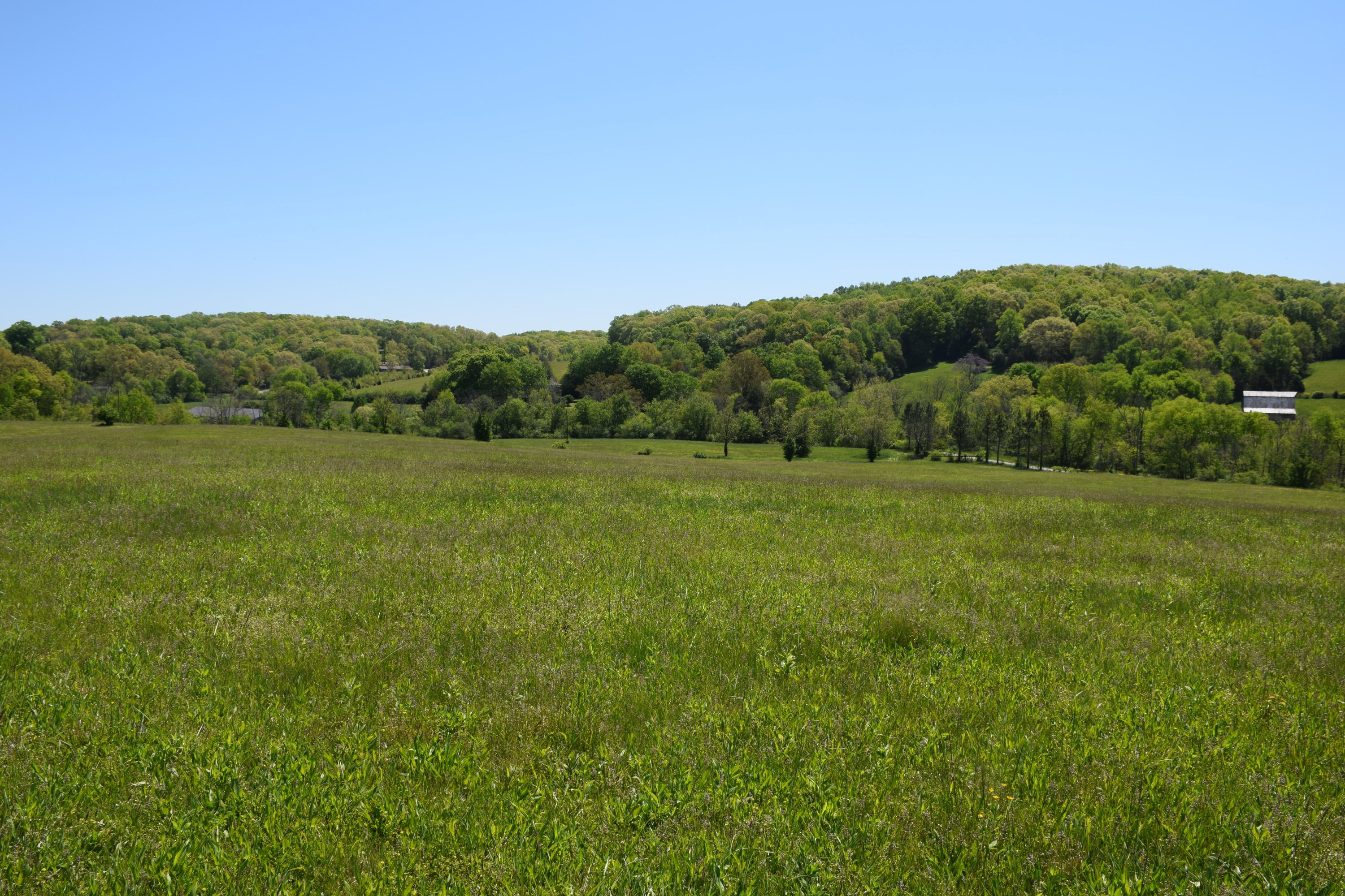 3100 River Road Loudon, TN 37774 - Photo 1 of 18 Pasture galore