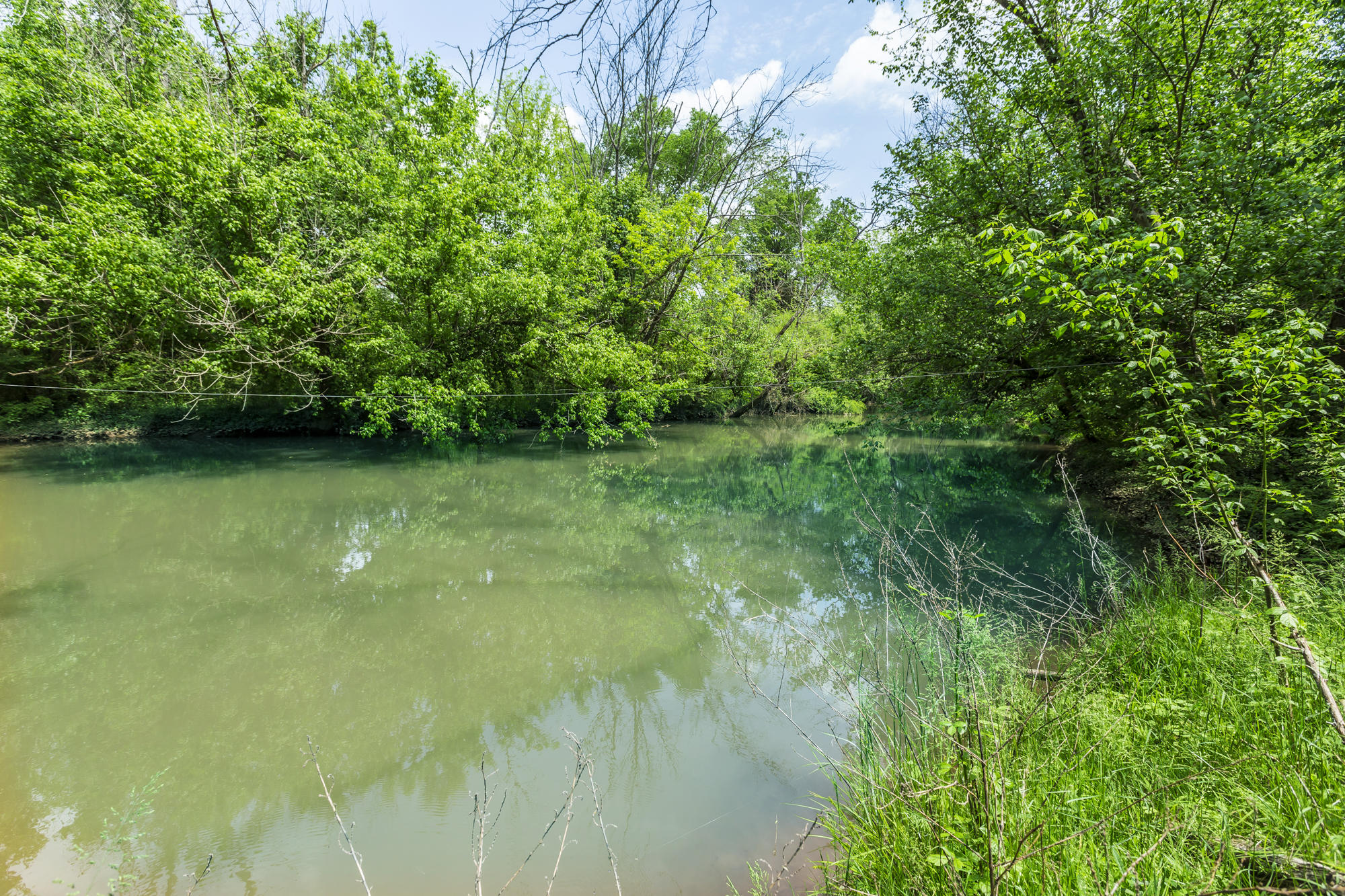 3100 River Road Loudon, TN 37774 - Photo 2 of 18 Sweetwater Creek