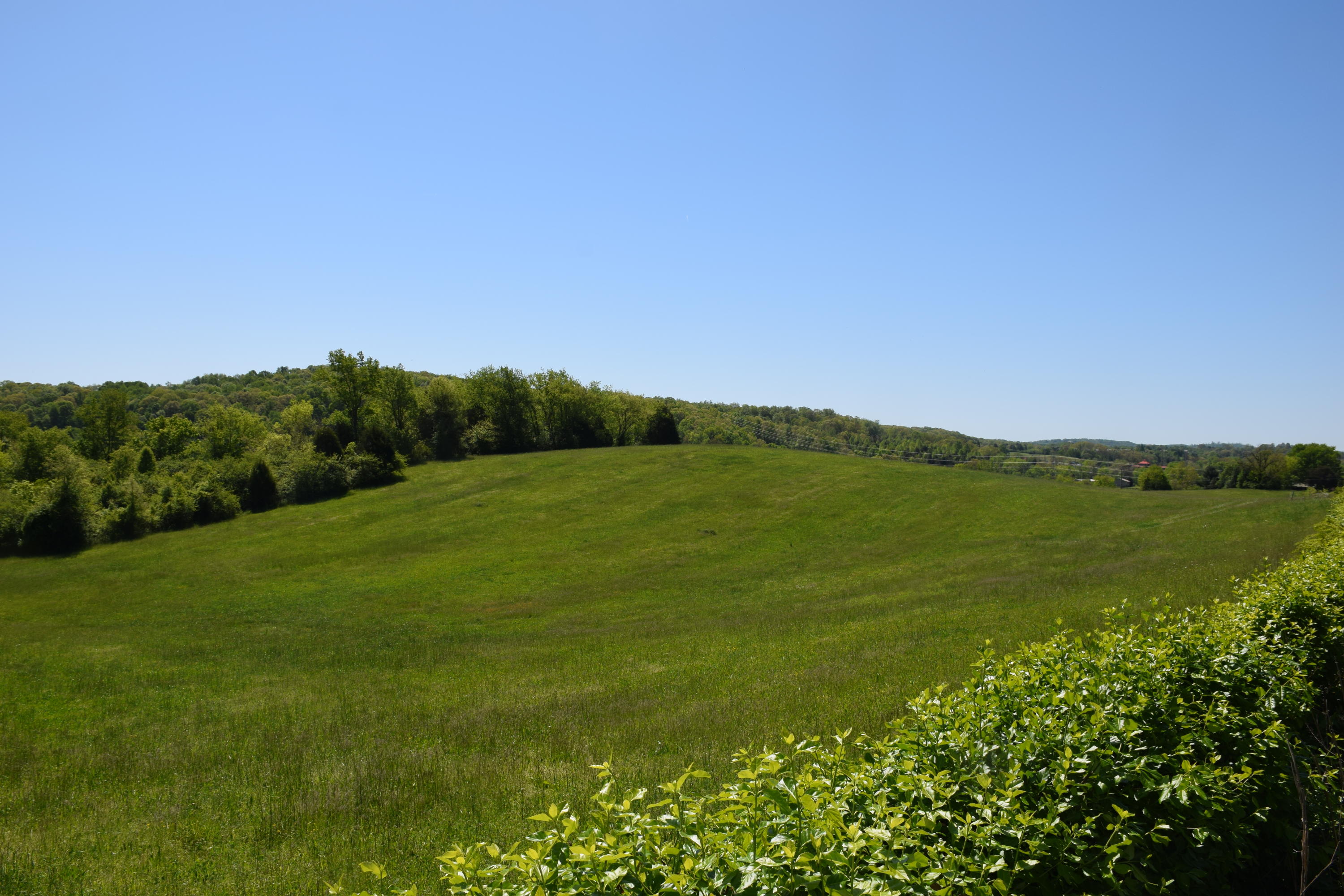 3100 River Road Loudon, TN 37774 - Photo 14 of 18 Gently rolling