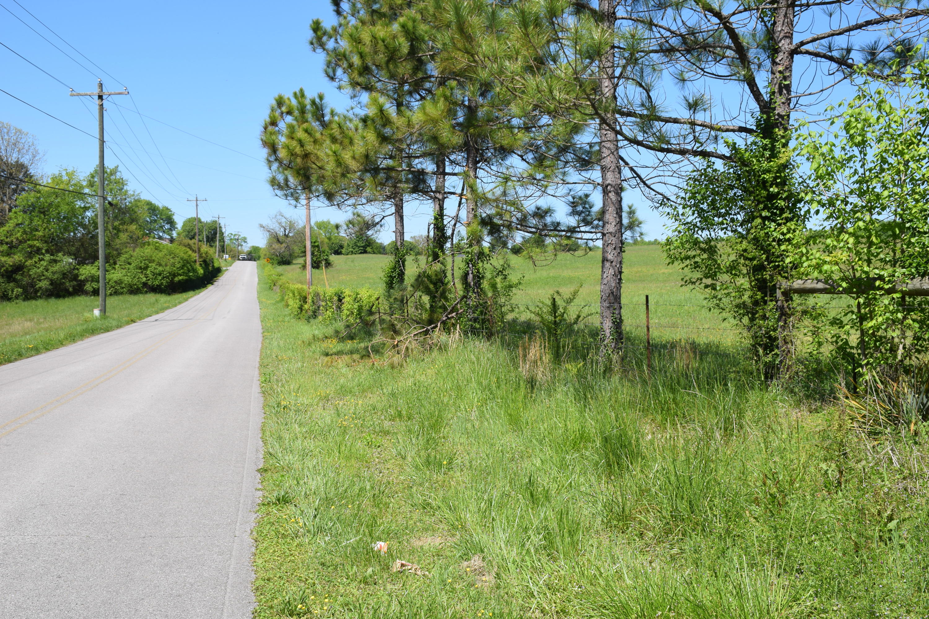 3100 River Road Loudon, TN 37774 - Photo 16 of 18 River Road frontage