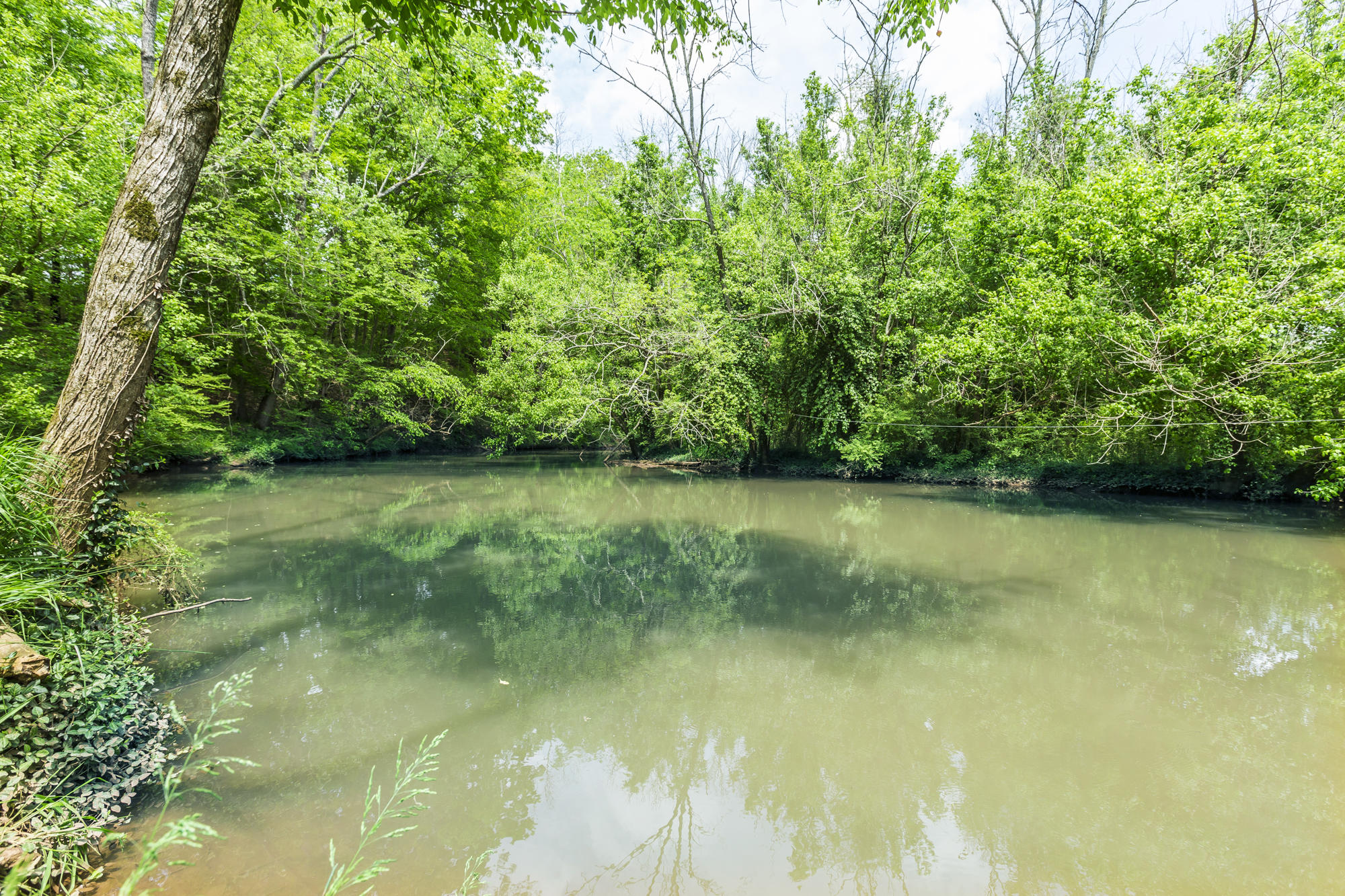 3100 River Road Loudon, TN 37774 - Photo 17 of 18 _MG_1370w