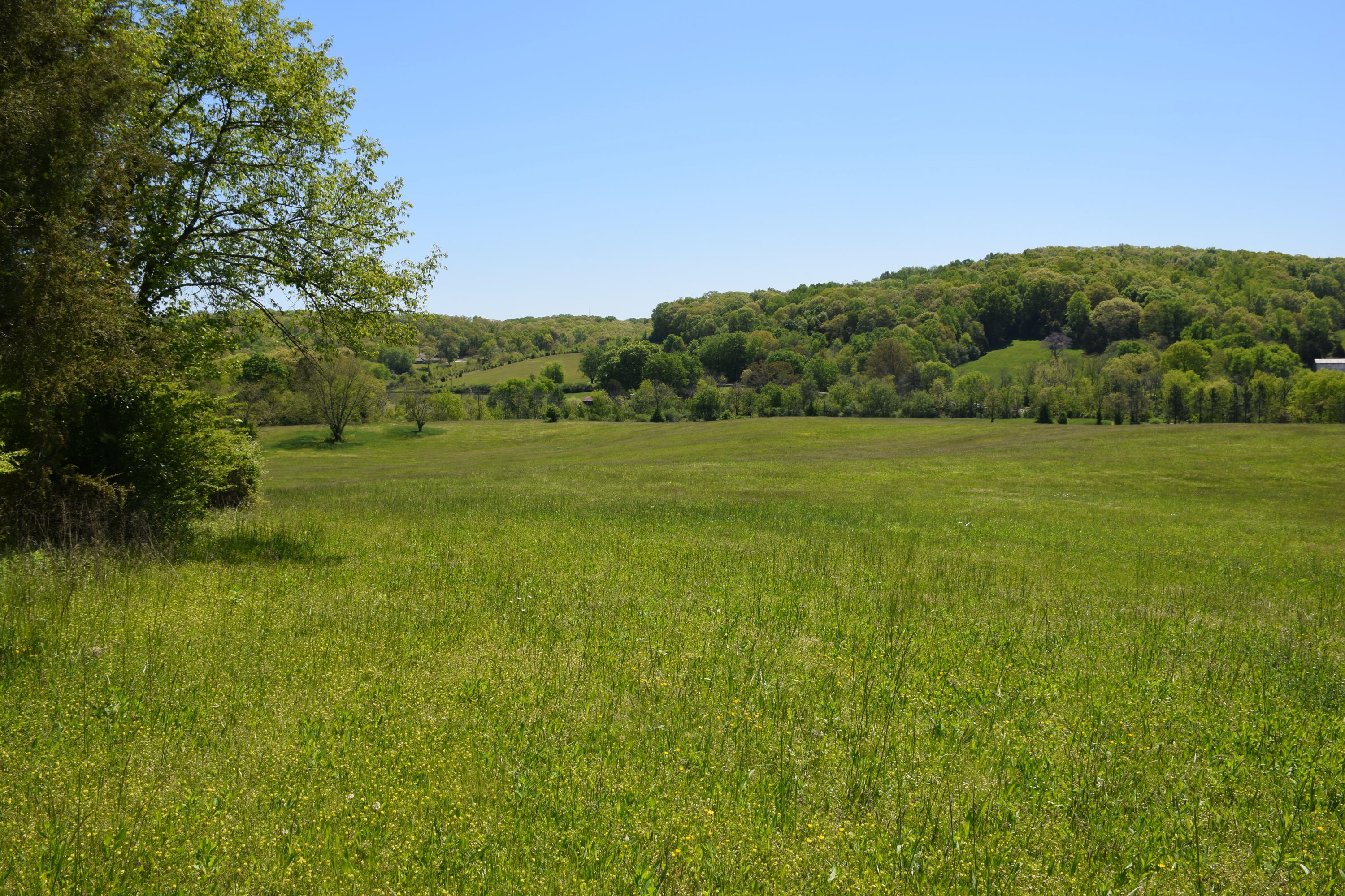 3100 River Road Loudon, TN 37774 - Photo 5 of 18 Lush Pastures