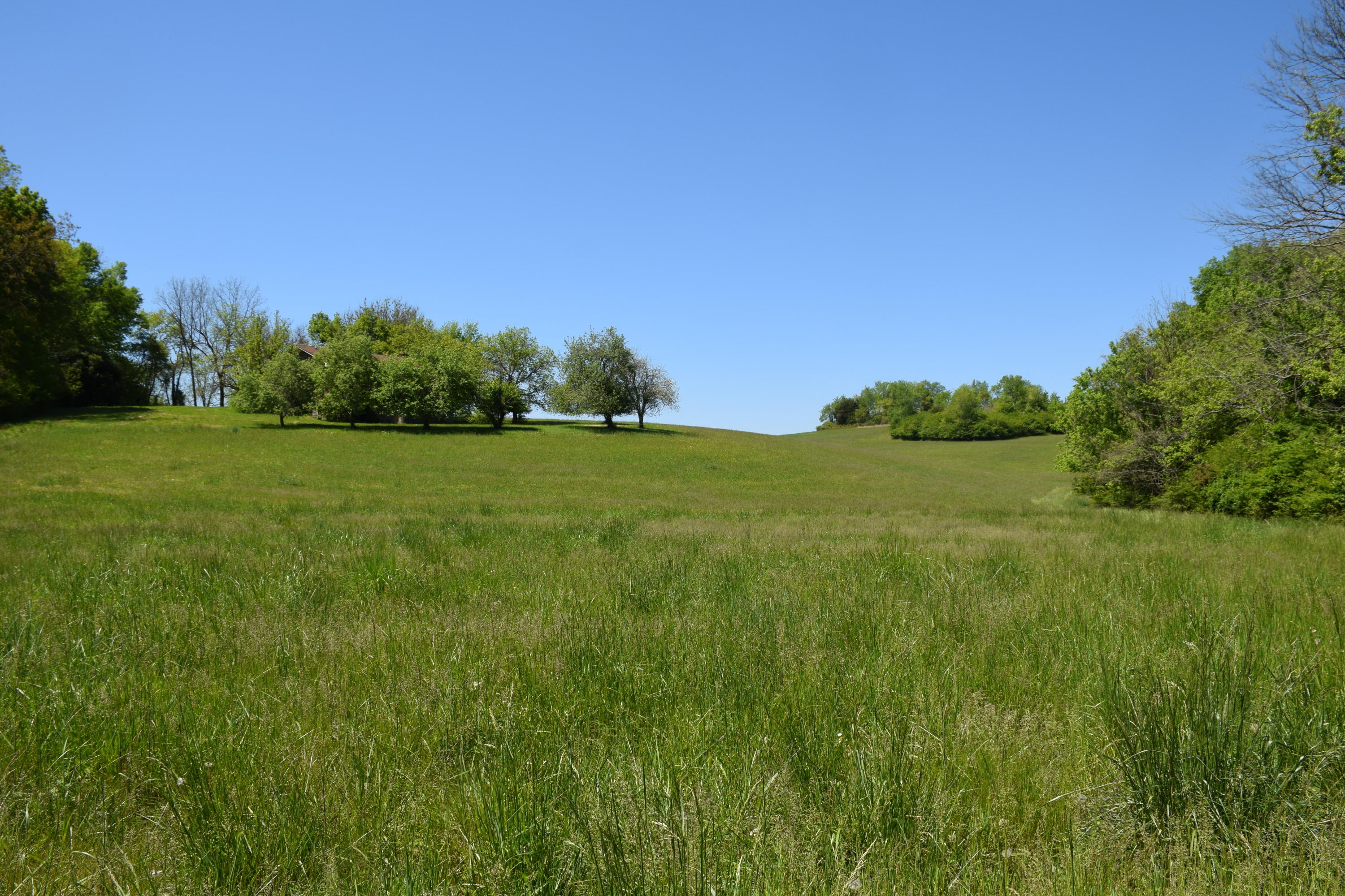 3100 River Road Loudon, TN 37774 - Photo 8 of 18 Backyard