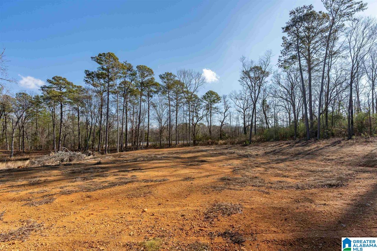 510 Cobb Road Oxford, AL 36203 - Photo 4 of 17