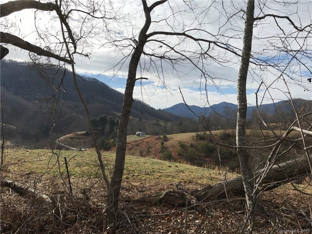 0 Kerr Road Leicester, NC 28748 - Photo 1 of 14 Gallery Image 1
