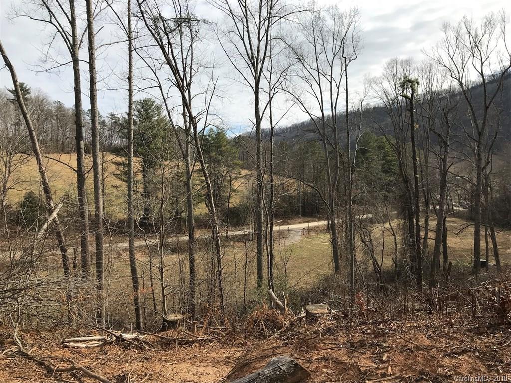 0 Kerr Road Leicester, NC 28748 - Photo 3 of 14 Gallery Image 3