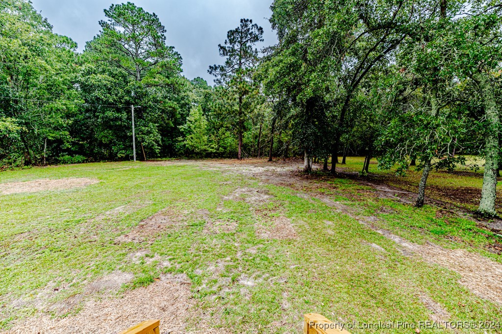 2245 Docs Road Lillington, NC 27546 - Photo 48 of 50 Gallery Image 48