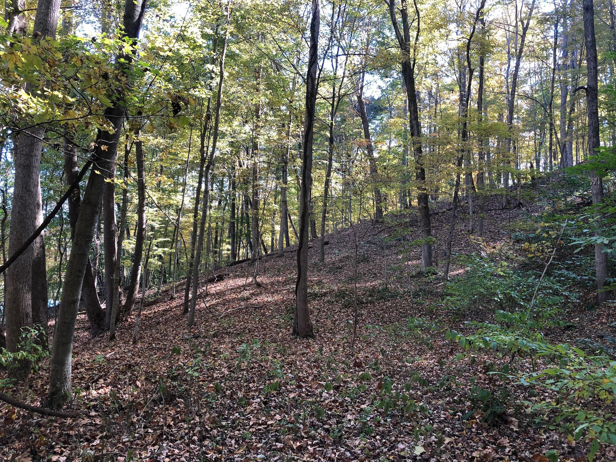 710 Apel Road Franklin Furnace, OH 45629 - Photo 10 of 16 IMG_9622