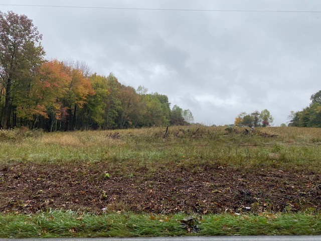 7960 Bill Moss Road White House, TN 37188 - Photo 3 of 10