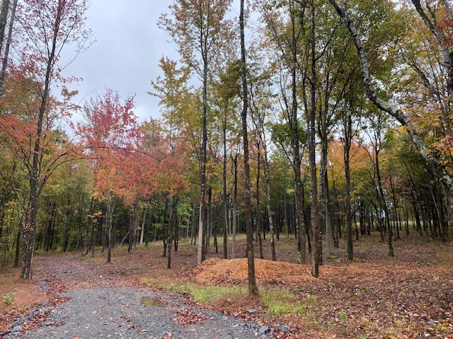 7960 Bill Moss Road White House, TN 37188 - Photo 9 of 10