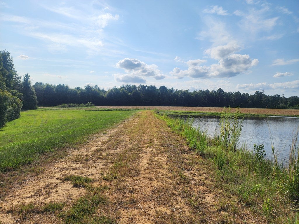 121 Molly Road Foxworth, MS 39483 - Photo 40 of 56 Gallery Image 40