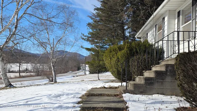 a view of a yard with plants and trees