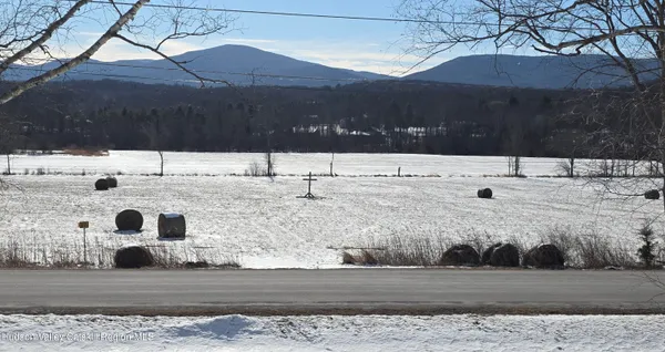 a view of a yard with trees