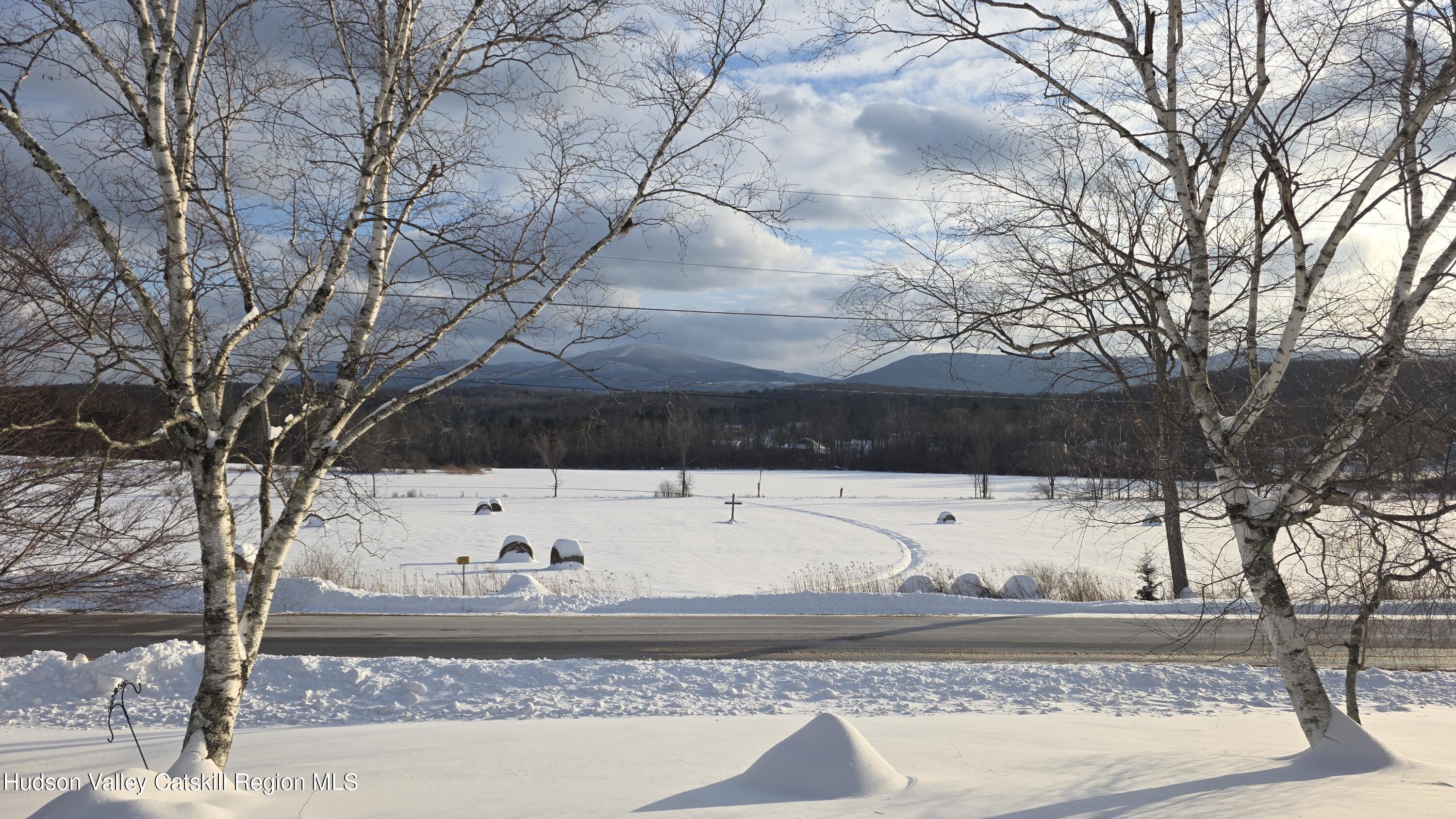 334 Stonitch Road East Durham, NY 12423 - Photo 8 of 36 55309