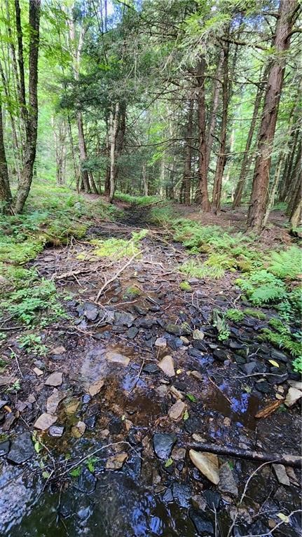 351 Clancy Road Andover, NY 14806 - Photo 32 of 50 Gallery Image 32
