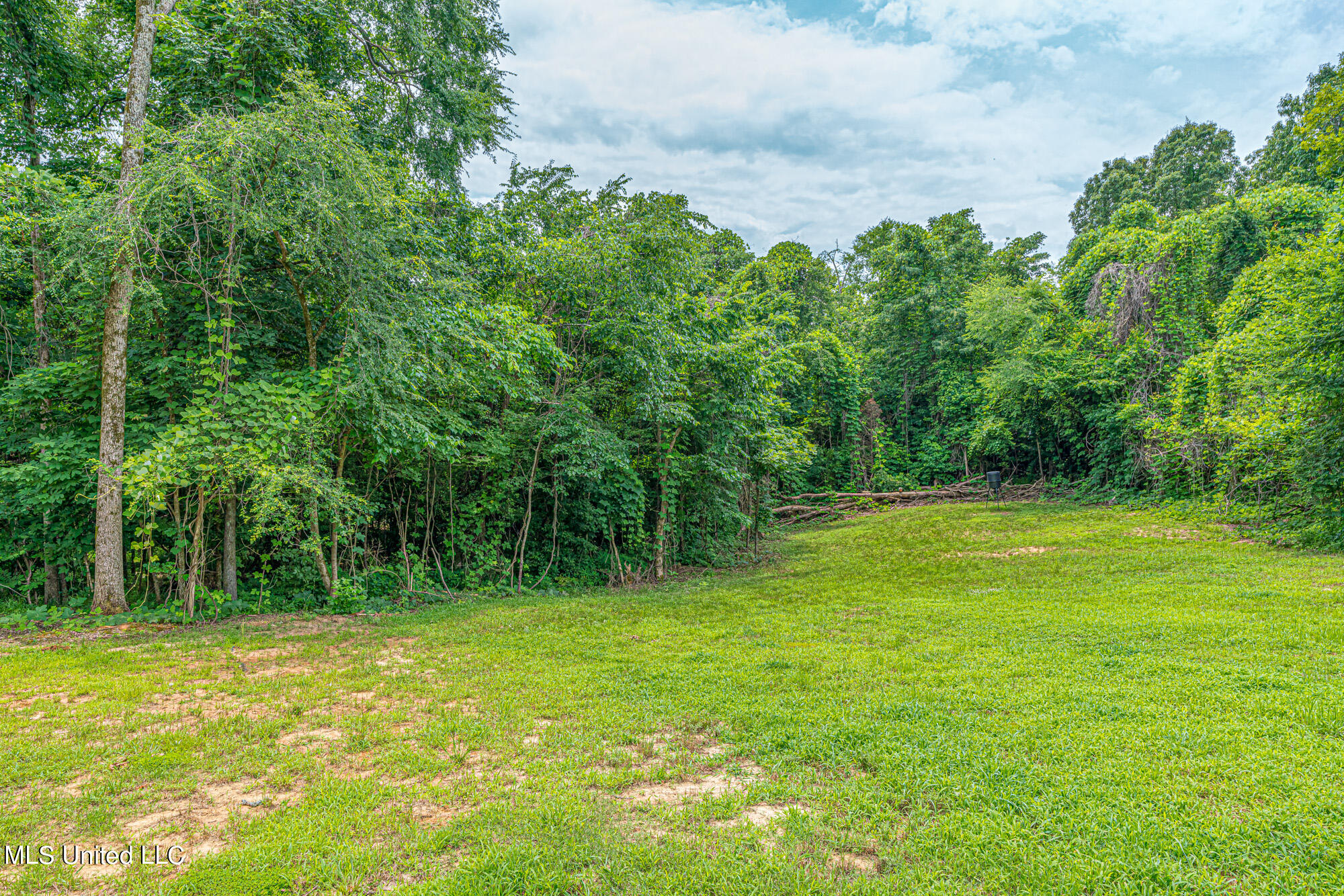 3277 Nesbit Road Nesbit, MS 38651 - Photo 26 of 31 227049_42-snapsold-screen-3277-nesbit