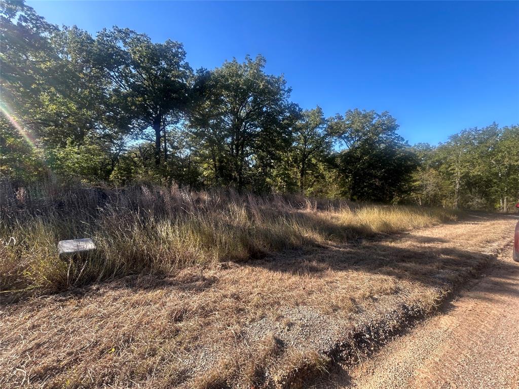 57 Point La Vista Road Malakoff, TX 75148 - Photo 3 of 7