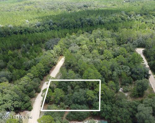 a view of a forest with a yard