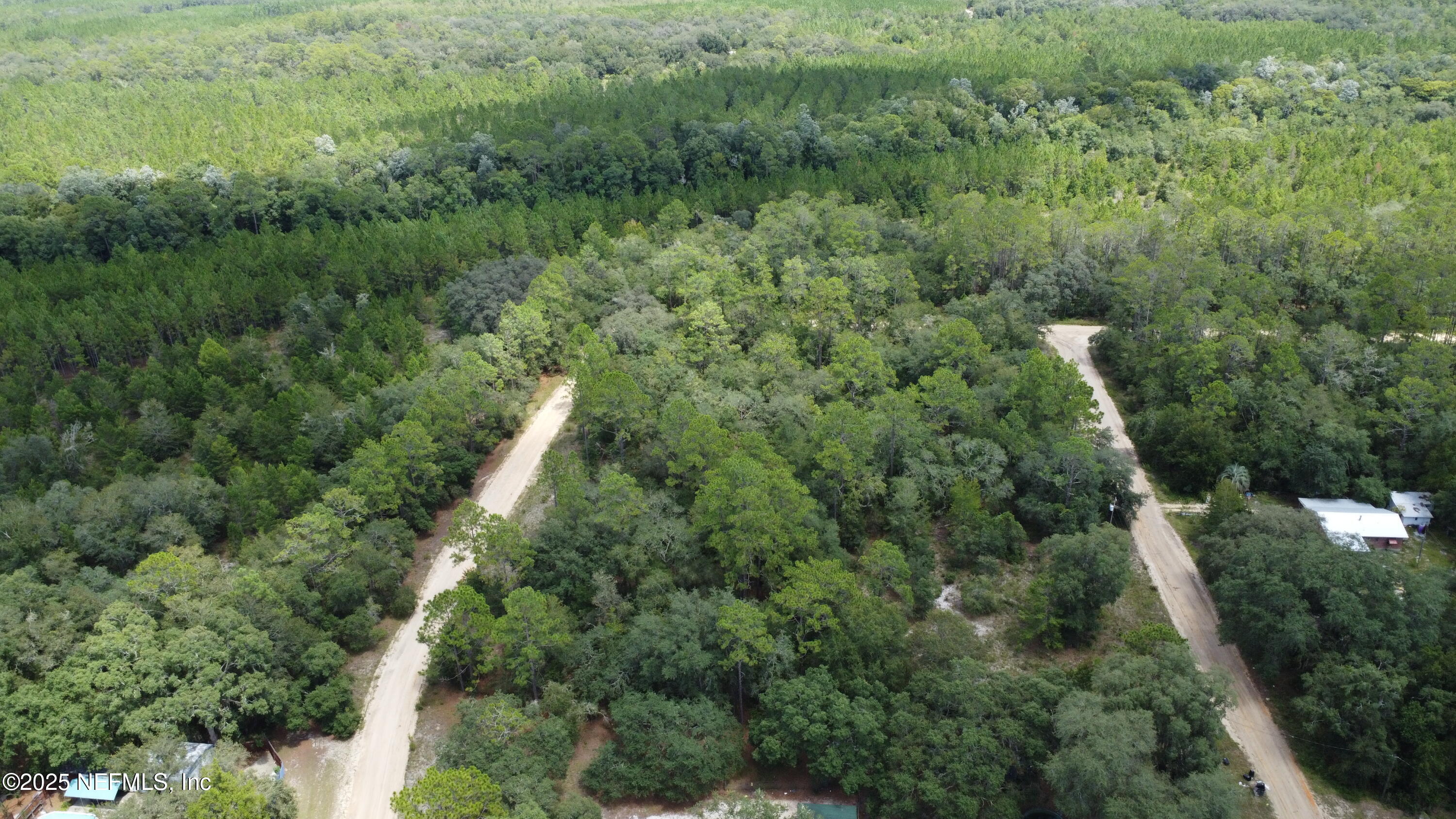 0 Britt Interlachen, FL 32148 - Photo 4 of 12 an aerial view of a forest with houses