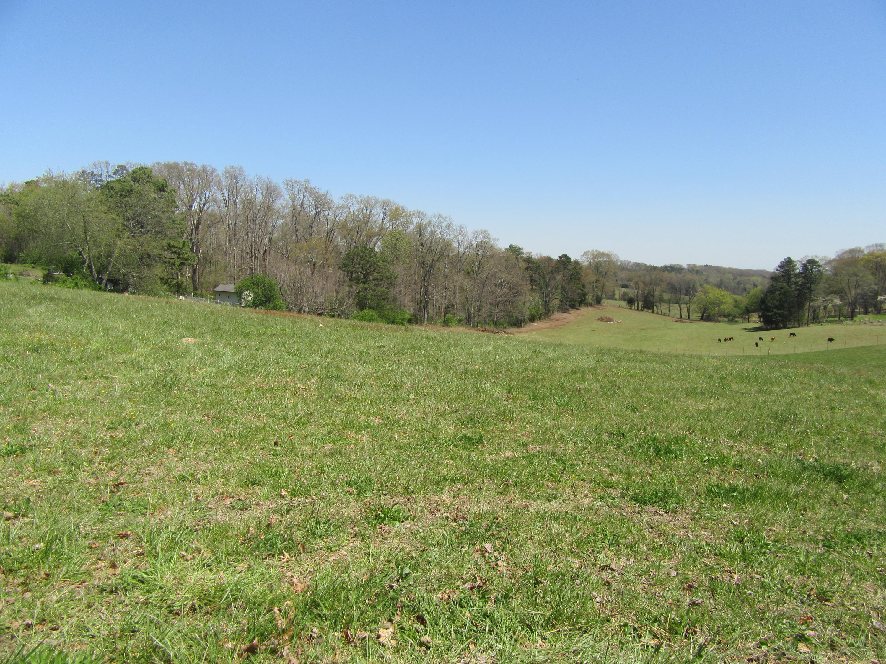 Watson Road Loudon, TN 37774 - Photo 3 of 3 Watson Road