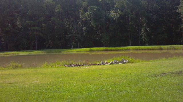 Off Cbh Lodge Road Washington, NC 27889 - Photo 8 of 8 Additional Photo