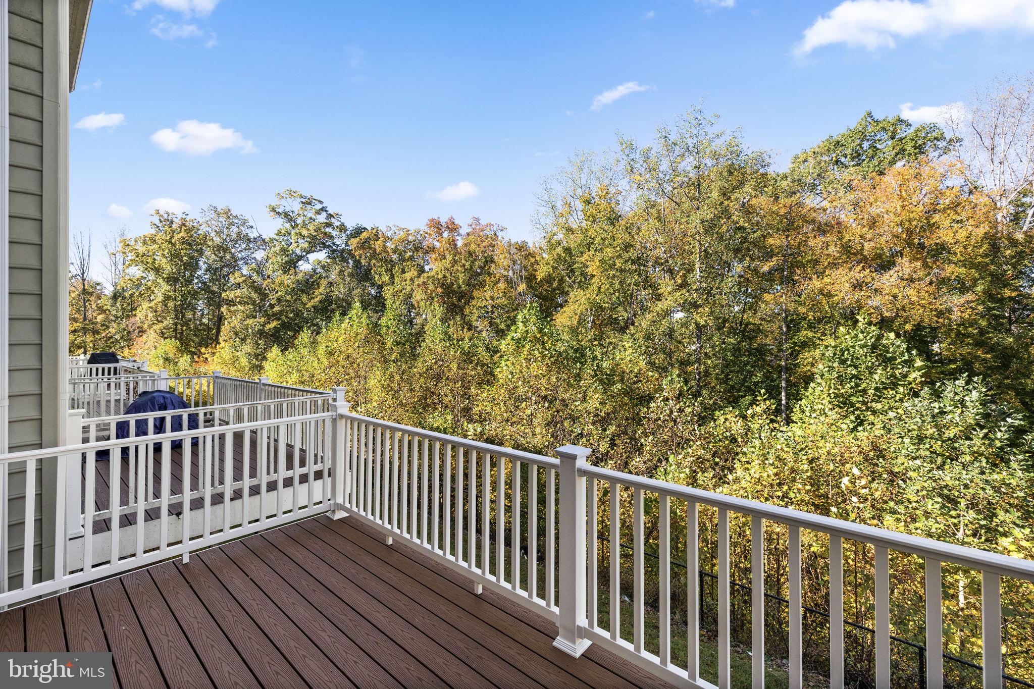 302 Tree Line Drive Fredericksburg, VA 22405 - Photo 23 of 38 a view of a balcony with wooden floor