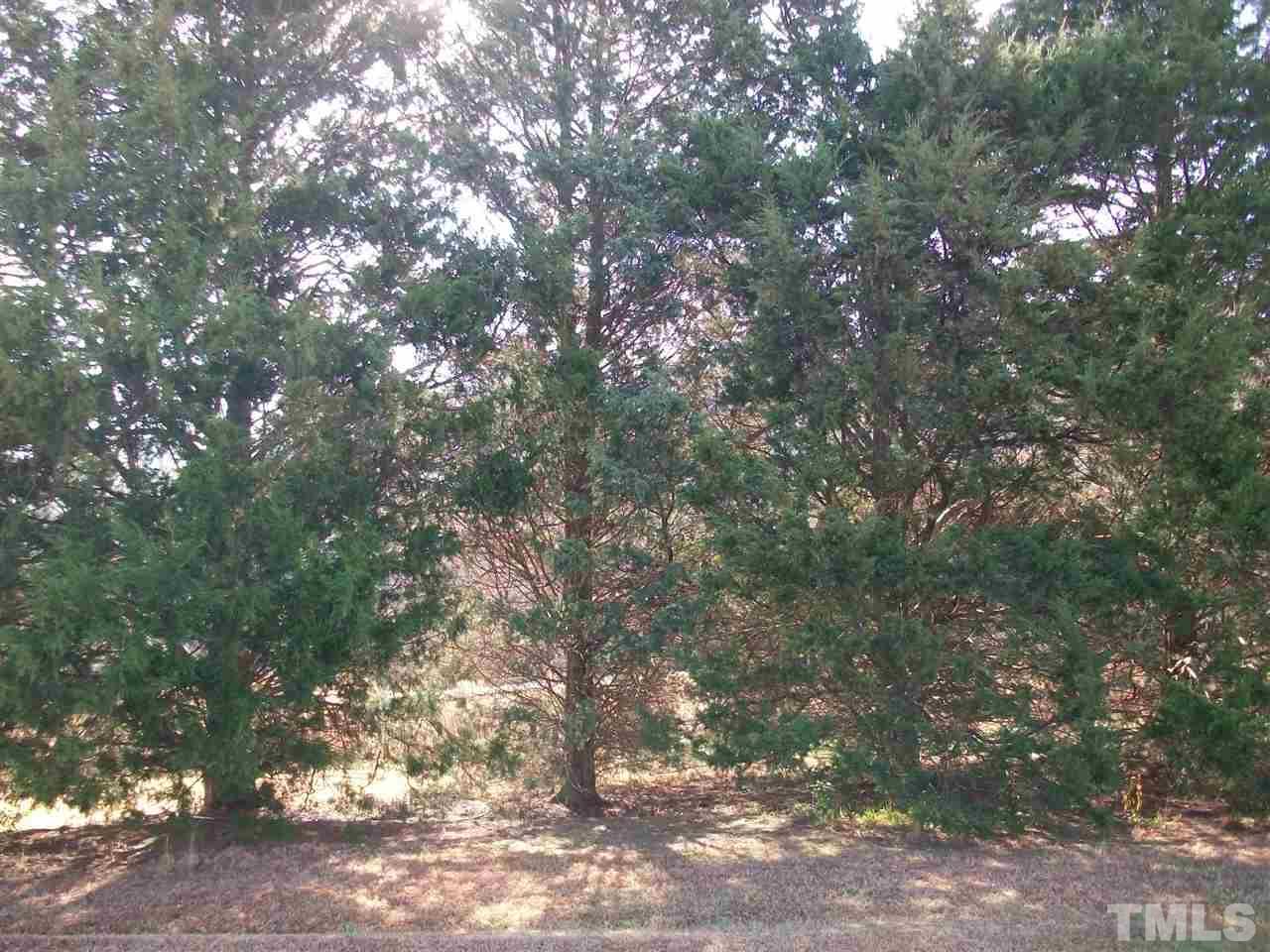 1121 Orange Factory Road Bahama, NC 27503 - Photo 12 of 18