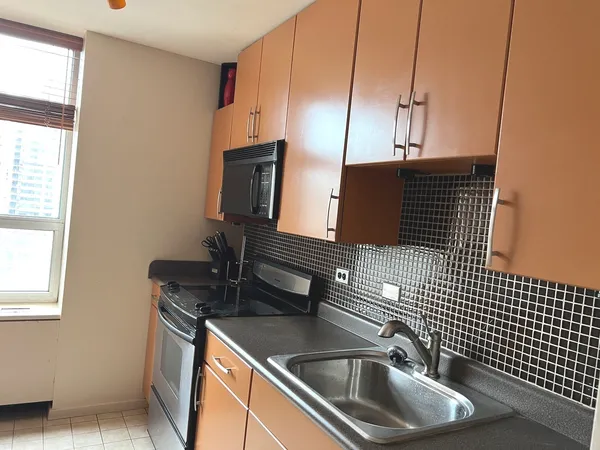 $2,550 | 70 West Burton Place, Unit 1203, Chicago, IL 60610