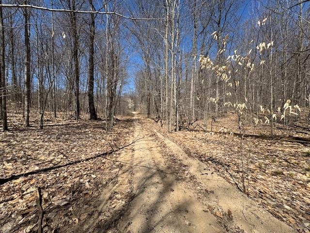 00 North Turnerville Road Lake City, MI 49651 - Photo 8 of 9