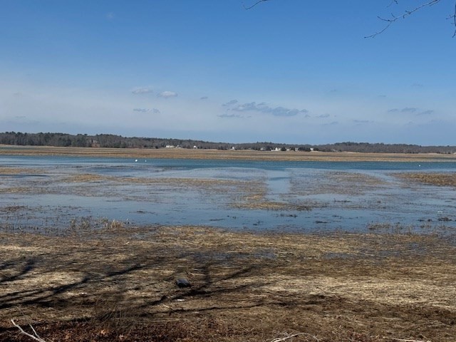 39 Bay Pond Road Duxbury, MA 02332 - Photo 2 of 42