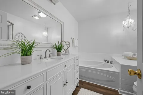a bathroom with a sink a faucet a potted plant and a mirror