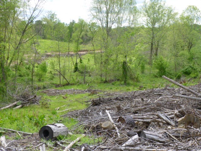 0 Horsepen Road Farmville, VA 23901 - Photo 2 of 5 Gallery Image 2