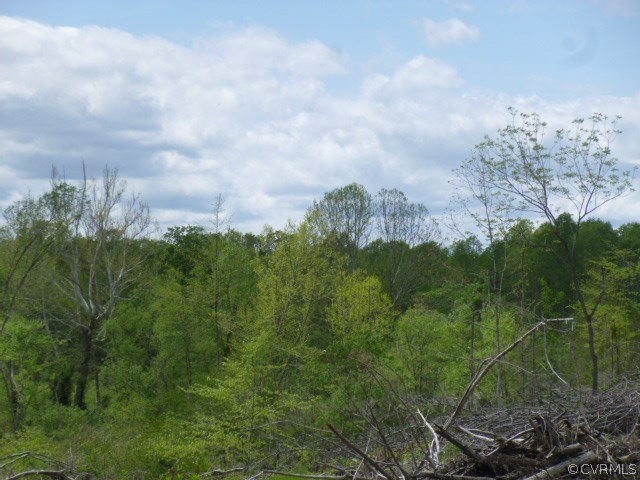 0 Horsepen Road Farmville, VA 23901 - Photo 3 of 5 Gallery Image 3