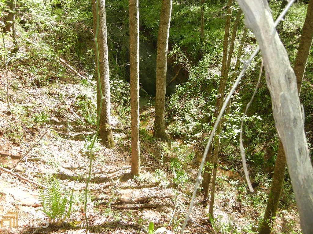 0 Seagraves Mill Road Northeast Hull, GA 30646 - Photo 1 of 1