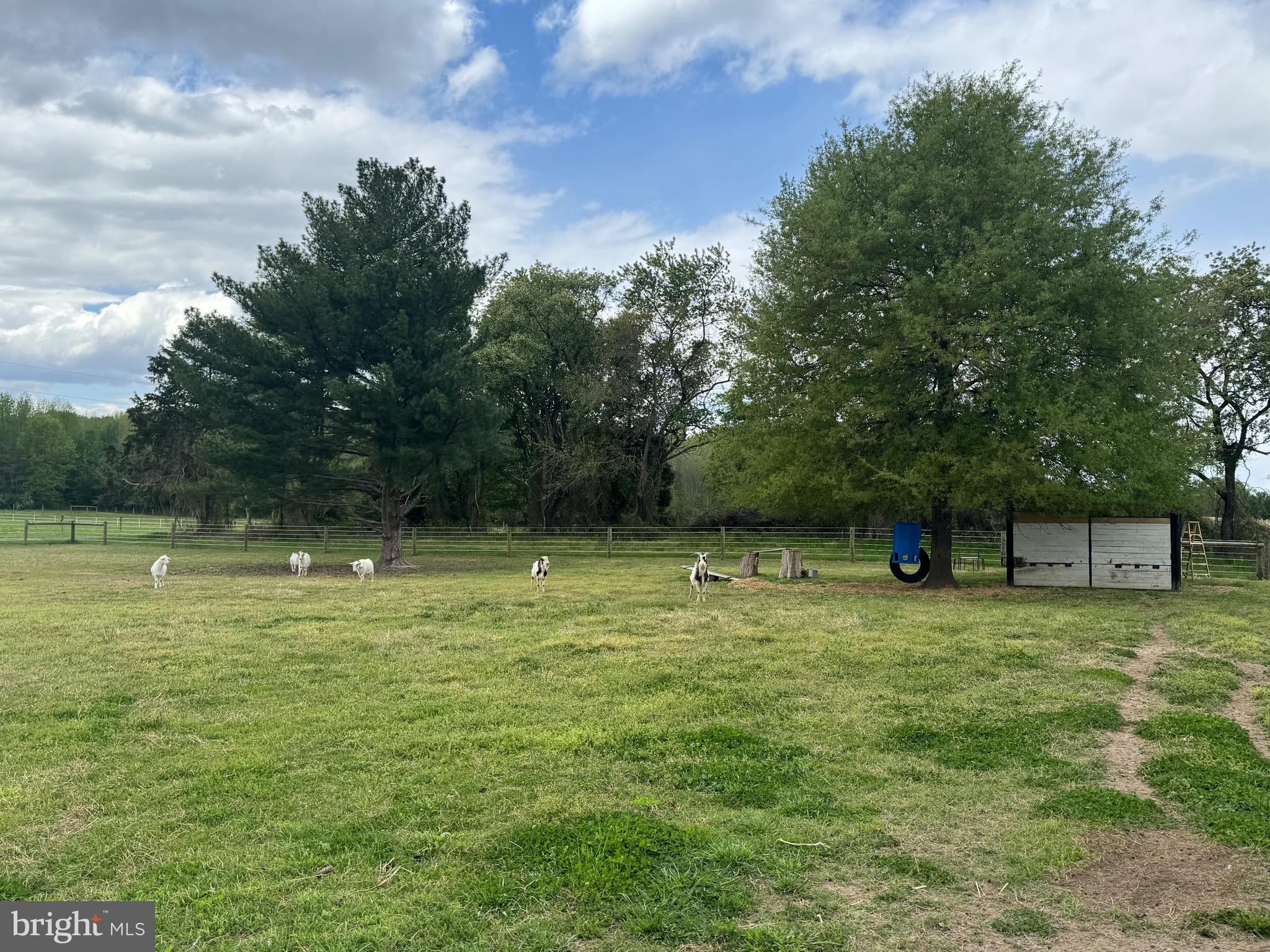 420 Duhamel Corner Road Marydel, MD 21649 - Photo 5 of 90