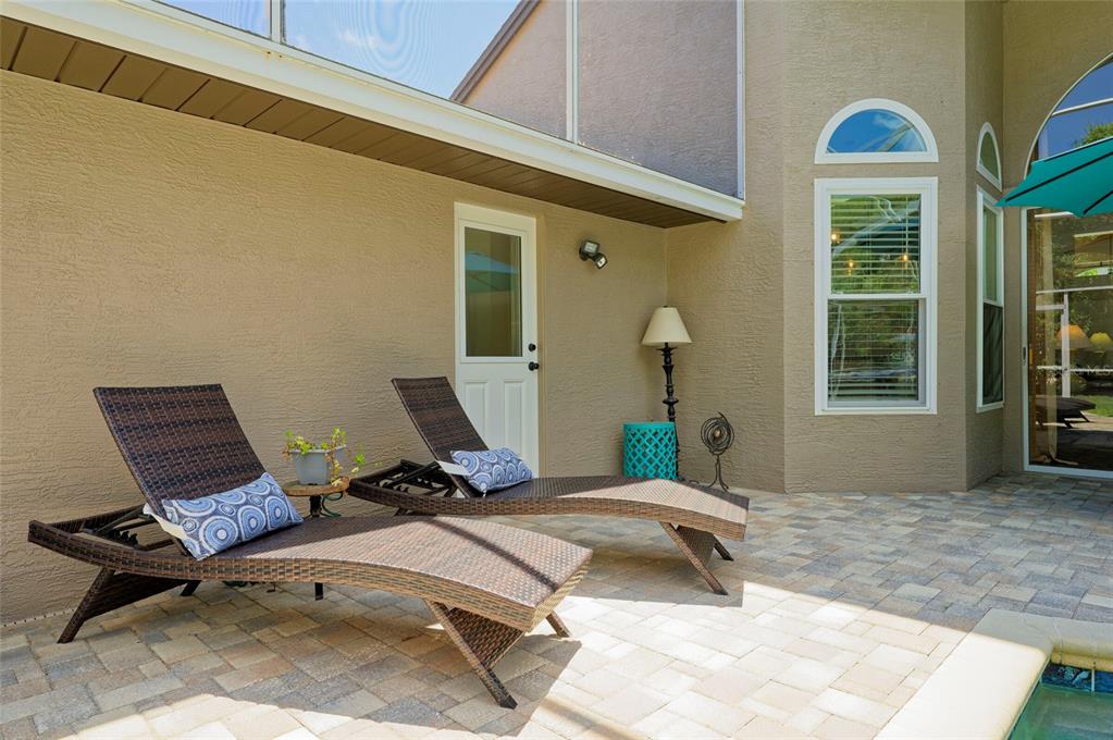 8115 Montock Court Trinity, FL 34655 - Photo 41 of 54