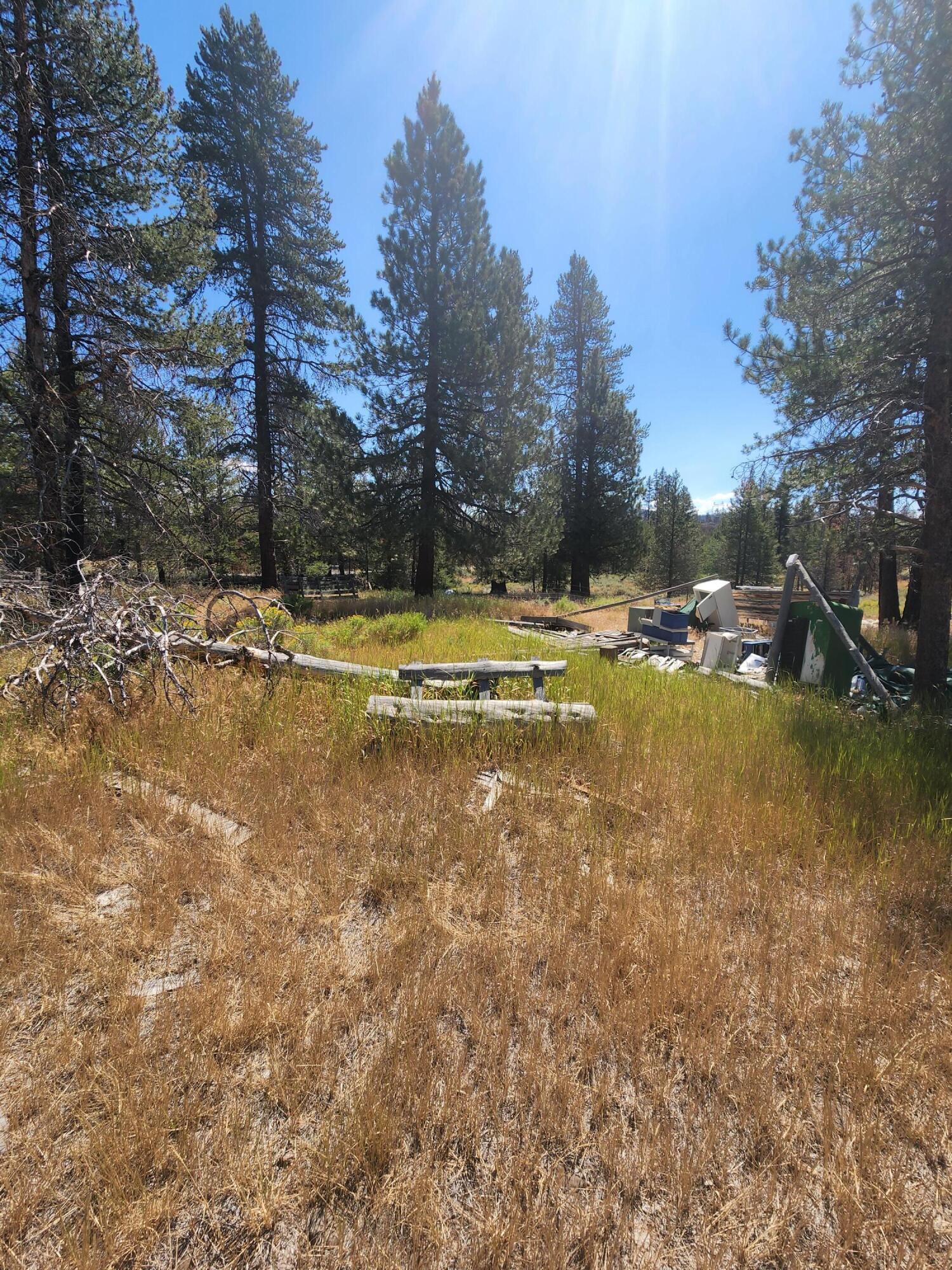 Lot 9 Red Fir Beatty, OR 97621 - Photo 3 of 8 20220808_115632