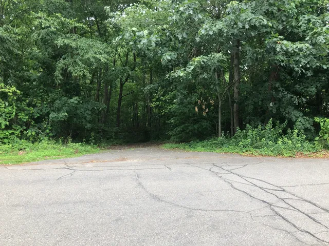 a view of backyard with green space