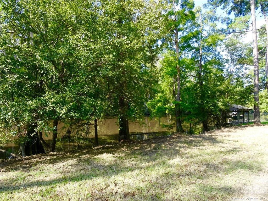 0 West Frk Road Lake Charles, LA 70611 - Photo 2 of 3