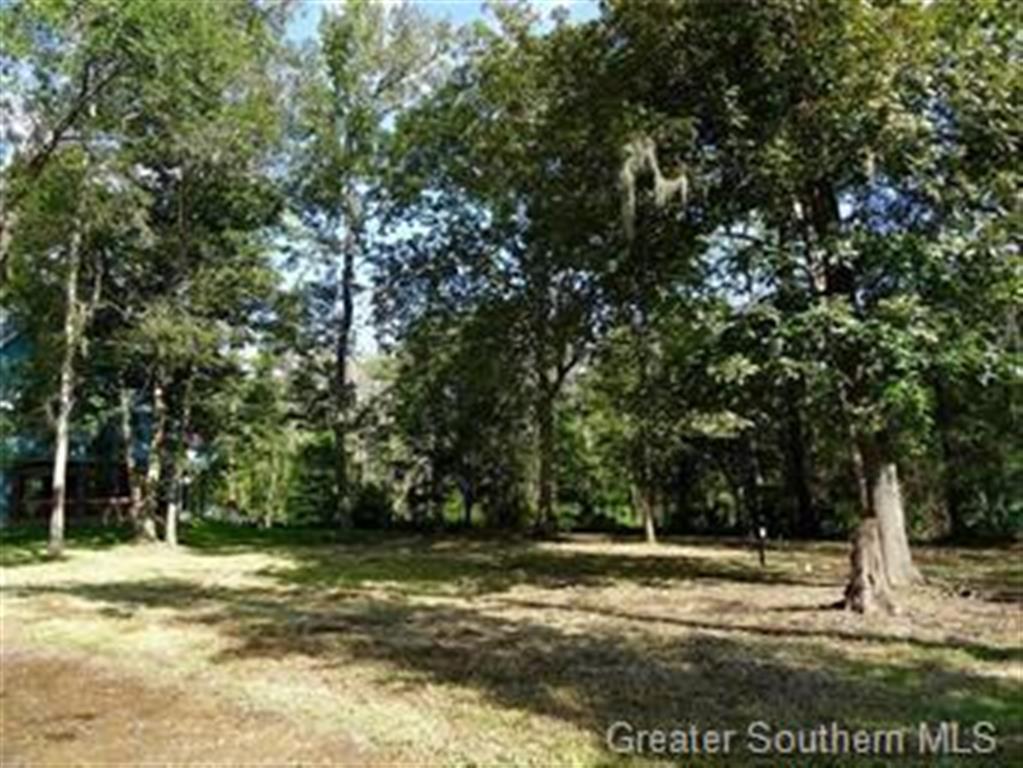 0 West Frk Road Lake Charles, LA 70611 - Photo 3 of 3