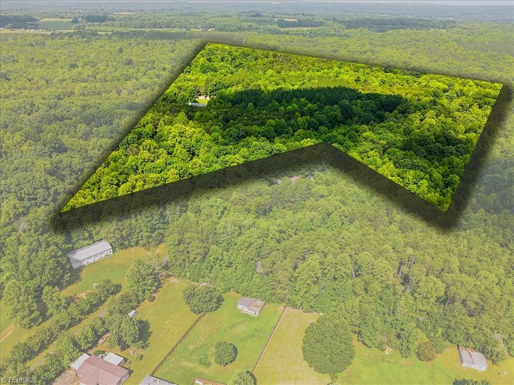 276 Williamson Creek Road Ruffin, NC 27326 - Photo 4 of 37