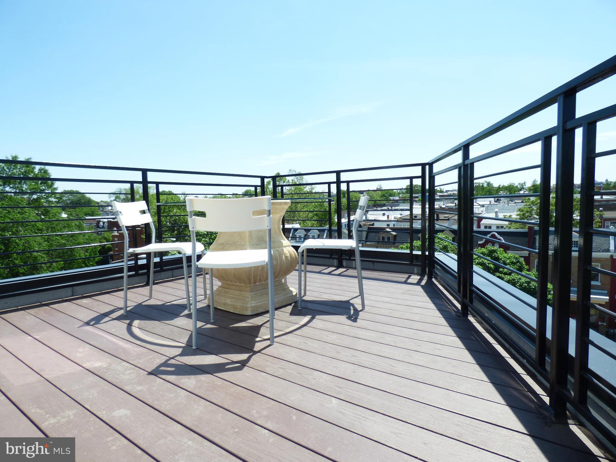 1337 Spring Road Northwest, Unit 5 Washington, DC 20010 - Photo 9 of 12 Private Roof Deck