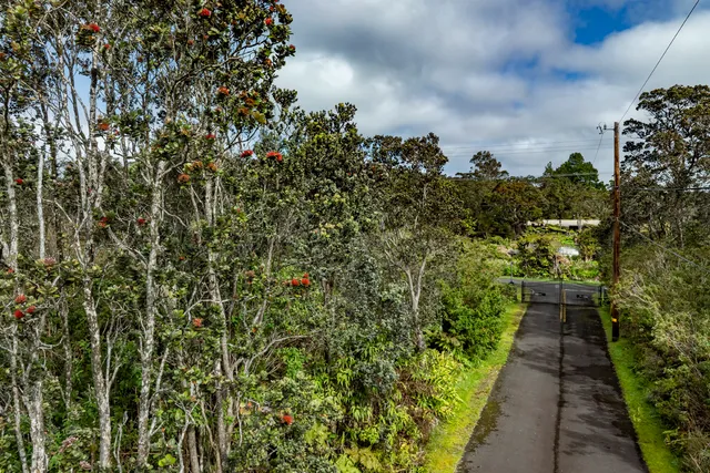 $110,000 | 19-3140 Lot 7-a-1 Mamaki Lane, Volcano, HI 96785