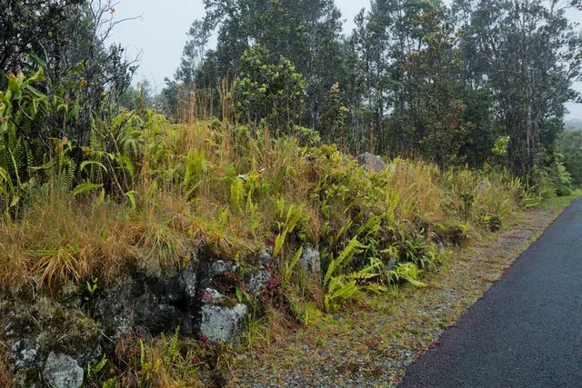 $110,000 | 19-3140 Lot 7-a-1 Mamaki Lane, Volcano, HI 96785