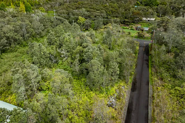 $110,000 | 19-3140 Lot 7-a-1 Mamaki Lane, Volcano, HI 96785