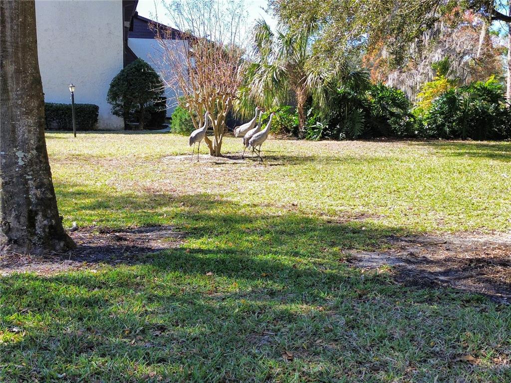 512 Fairways Circle, Unit A Ocala, FL 34472 - Photo 24 of 30