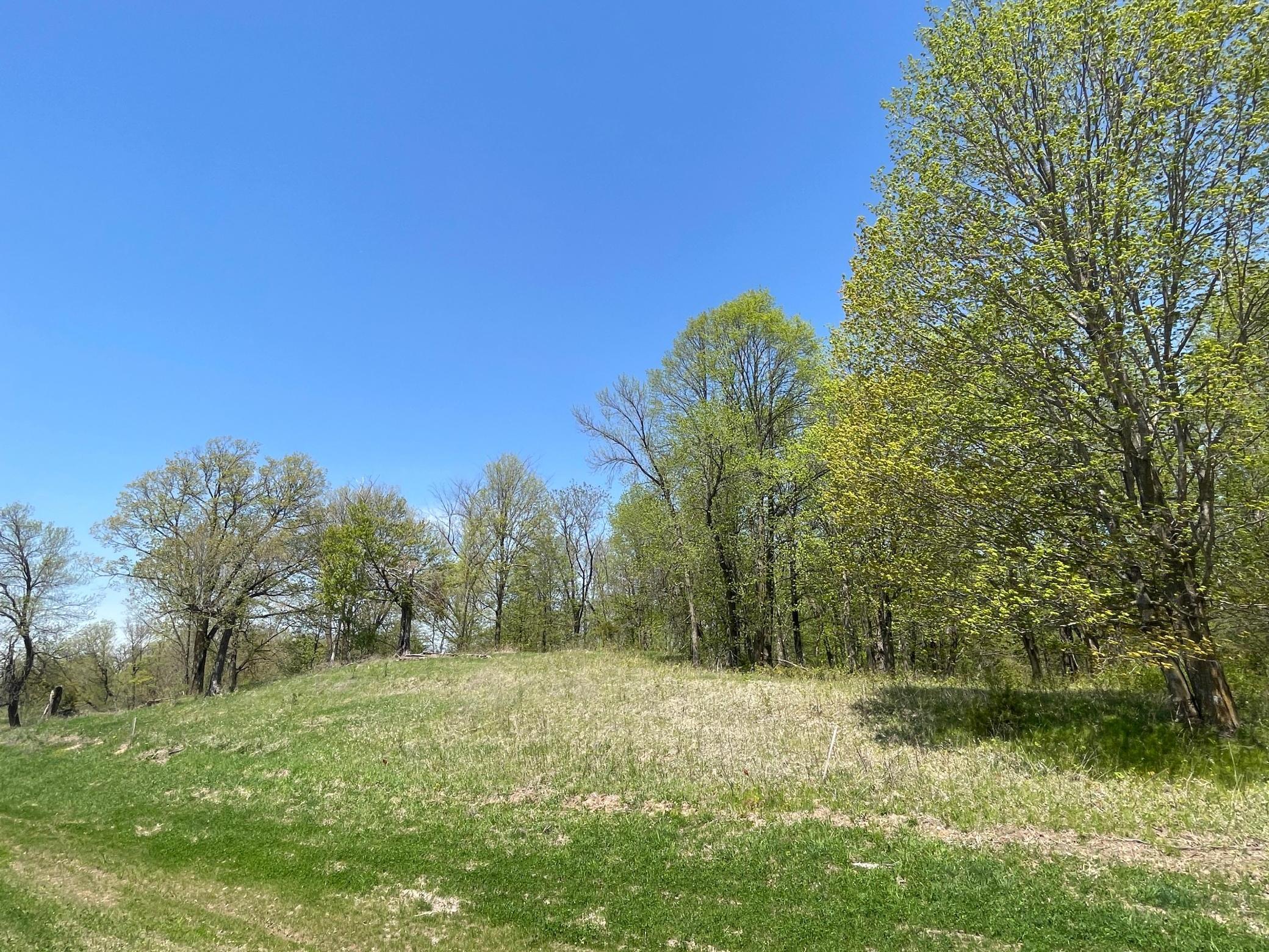 1-xx Stark Road Harris, MN 55032 - Photo 2 of 21