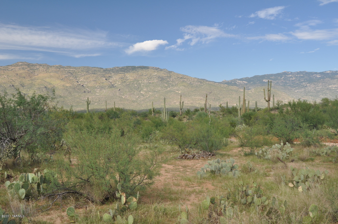 7500 Rolling Tumbleweed Road, Unit B Vail, AZ 85641 - Photo 2 of 7