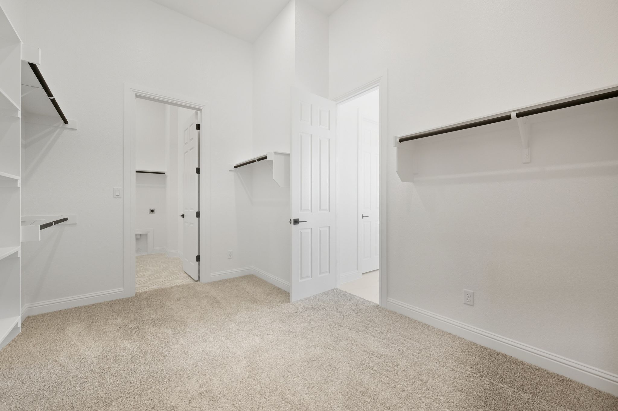 216 Moria Court Georgetown, TX 78628 - Photo 17 of 30 Walk in closet featuring light carpet
