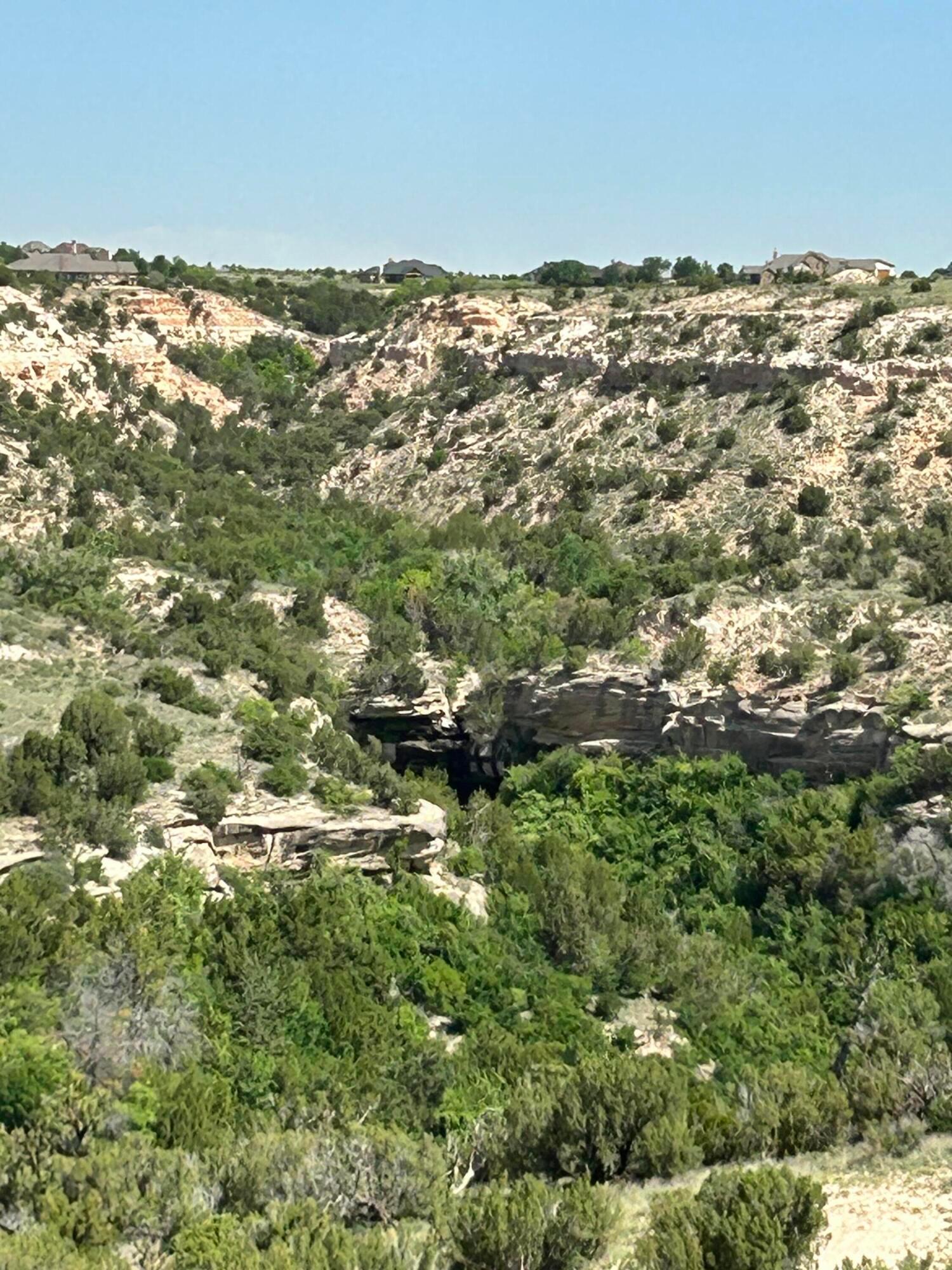 an aerial view of residential houses with outdoor space and trees